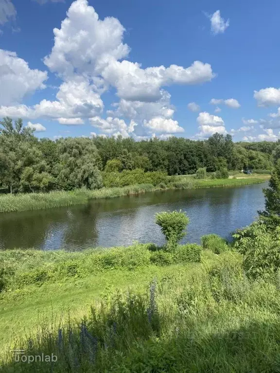 Дом в Тамбовская область, Тамбов Ягодка СНТ, 30 (28 м) - Фото 1