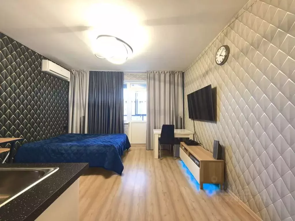 Студия Санкт-Петербург ул. Среднерогатская, 16к2 (23.3 м) - Фото 2