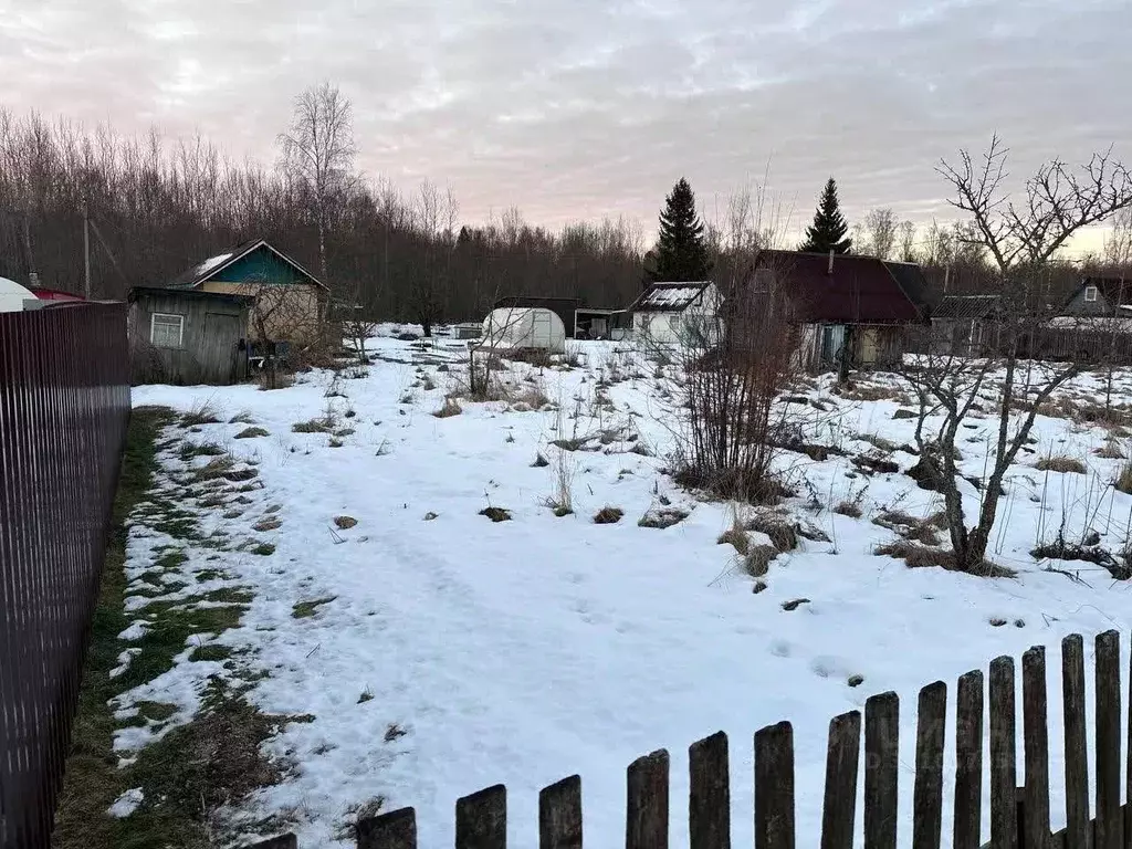 Участок в Ленинградская область, Киришский район, Кусинское с/пос, ... - Фото 1