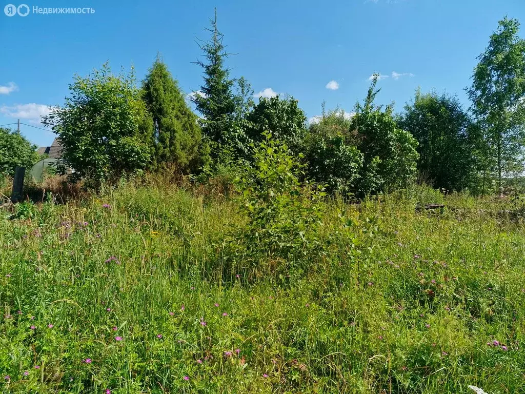 Участок в Кукуй, Октябрьская улица (18.5 м) - Фото 1