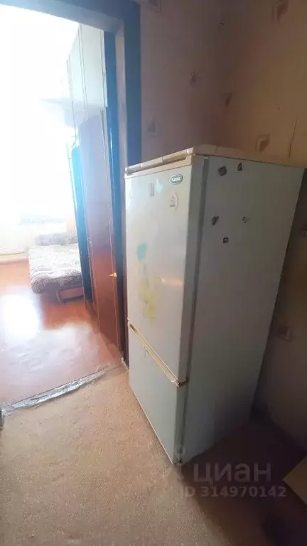 Студия Алтайский край, Барнаул ул. Димитрова, 38 (18.0 м) - Фото 1