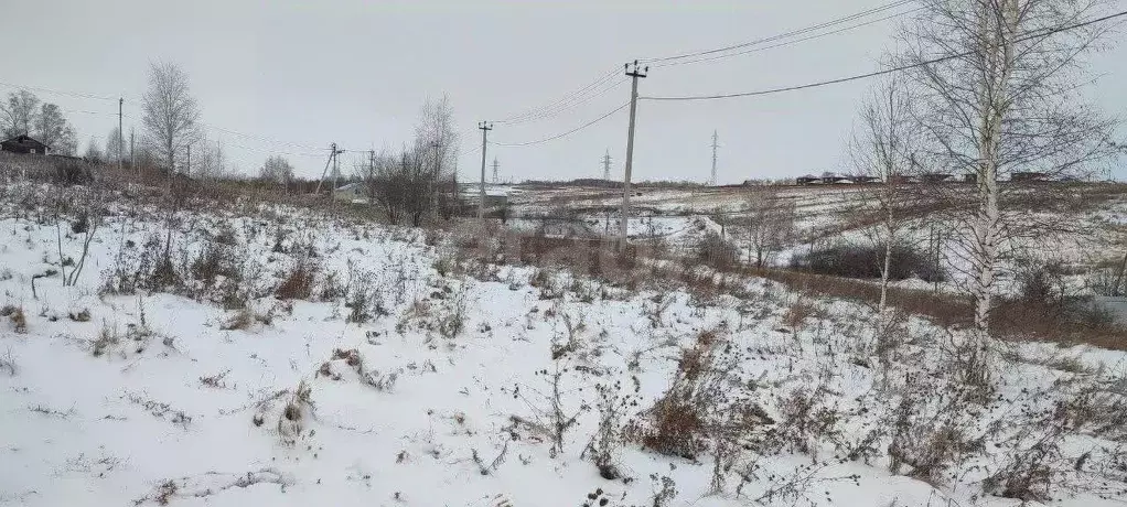 Участок в Красноярский край, Емельяновский муниципальный округ, Луч ... - Фото 1