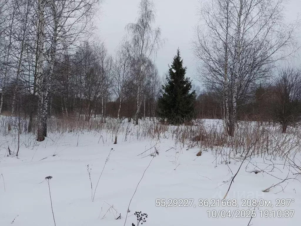 Участок в Московская область, Наро-Фоминский городской округ, д. ... - Фото 0