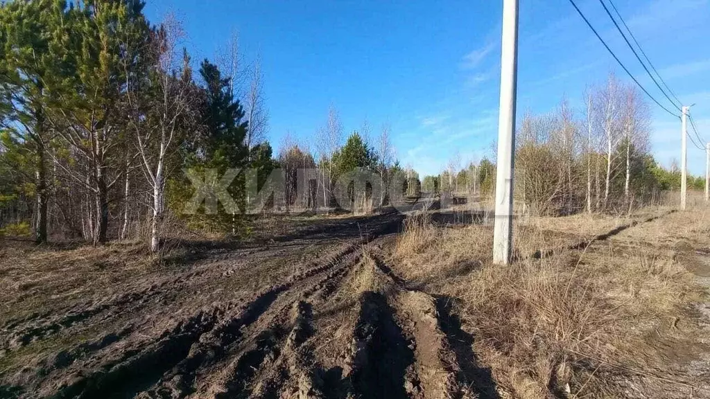 Участок в Новосибирская область, Новосибирский район, Кубовинский ... - Фото 0