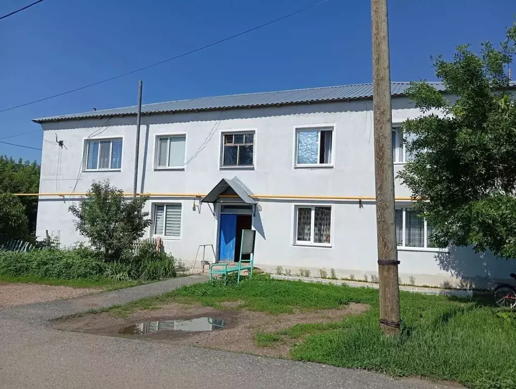 Студия Оренбургская область, с. Беляевка ул. Ленинская, 1А (18.1 м) - Фото 1