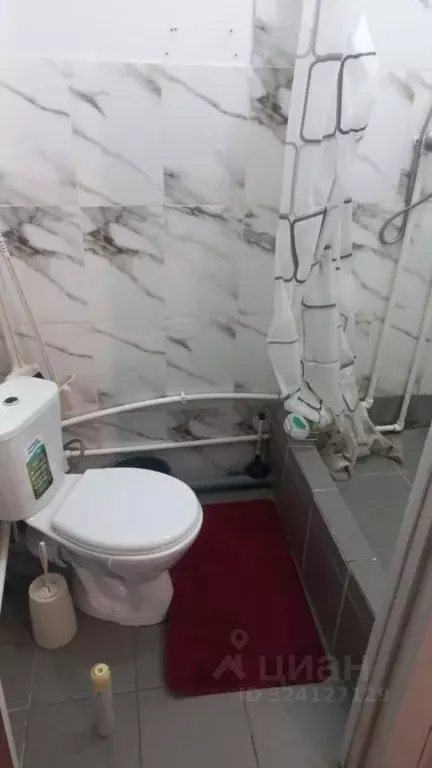 Студия Алтай, Горно-Алтайск Коммунистический просп., 109/5 (17.0 м) - Фото 2