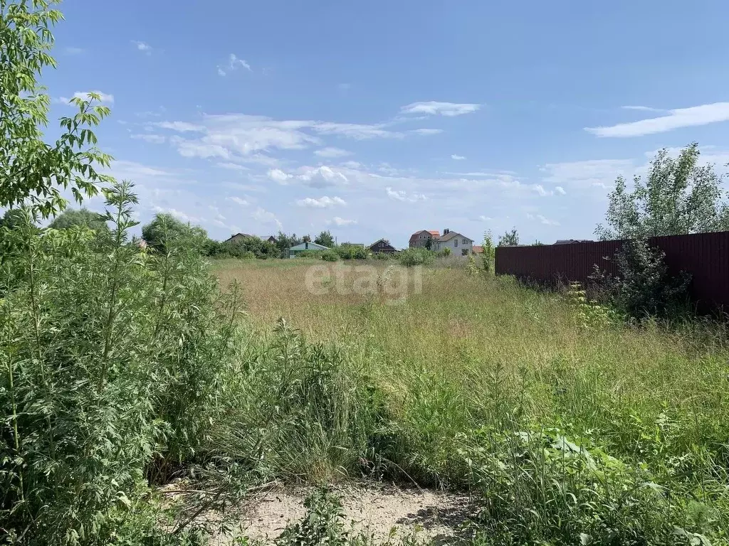 Участок в Воронежская область, Новоусманский район, с. Бабяково ... - Фото 1