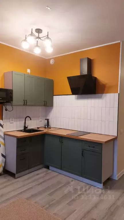 Студия Ленинградская область, Всеволожский район, пос. Бугры ул. ... - Фото 1