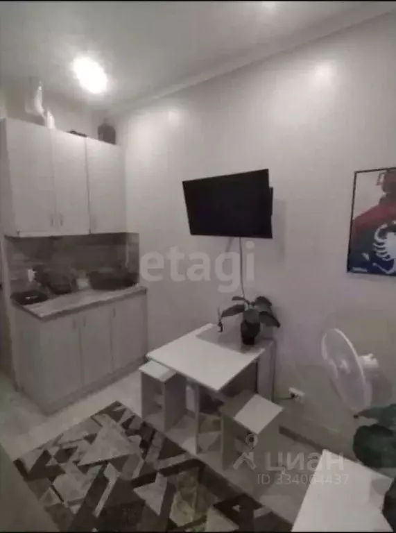 Студия Алтайский край, Барнаул ул. Гущина, 151 (14.0 м) - Фото 2