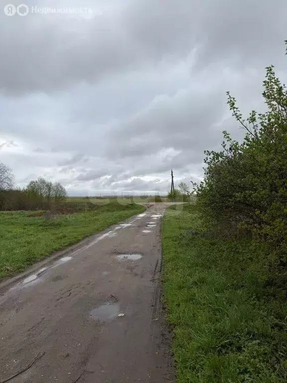 Участок в Московская область, Дмитровский муниципальный округ, деревня ... - Фото 0