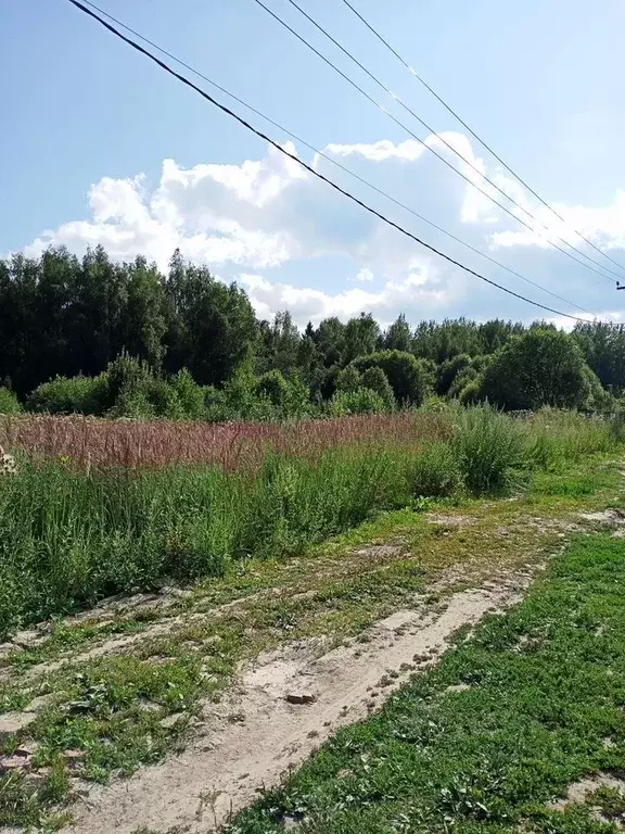 Участок в Московская область, Солнечногорск городской округ, д. ... - Фото 0