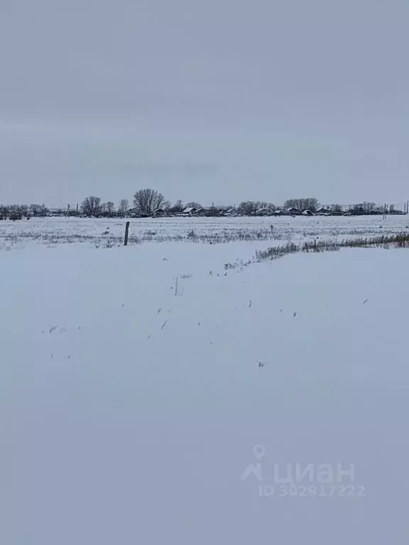 Участок в Волгоградская область, Городищенский район, Паньшинское ... - Фото 0