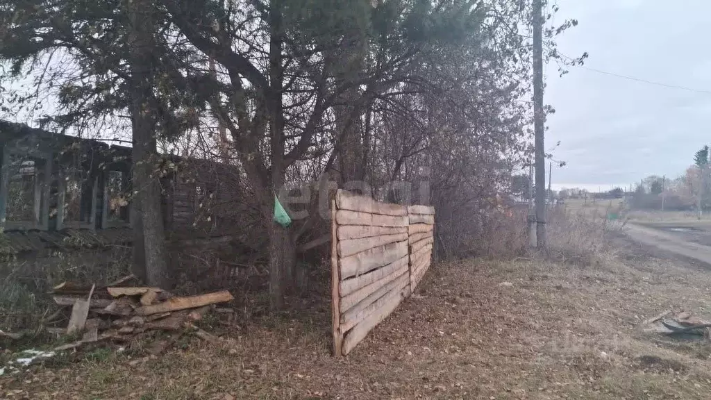 Участок в Томская область, Шегарский район, с. Бабарыкино Набережная ... - Фото 1