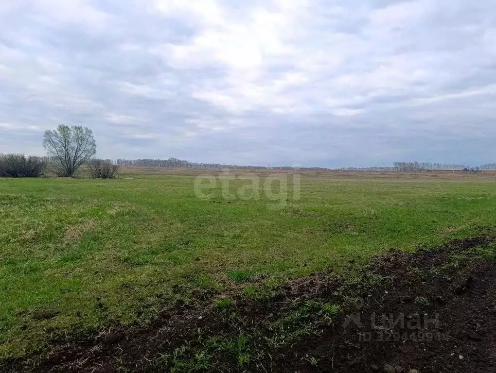 Участок в Башкортостан, Буздякский район, Уртакульский сельсовет, с. ... - Фото 1