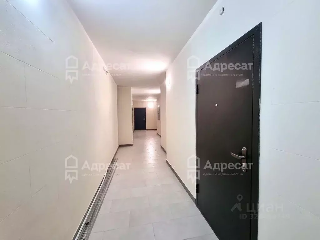 1-к кв. Волгоградская область, Волгоград ул. Тракторостроителей, 21 ... - Фото 1