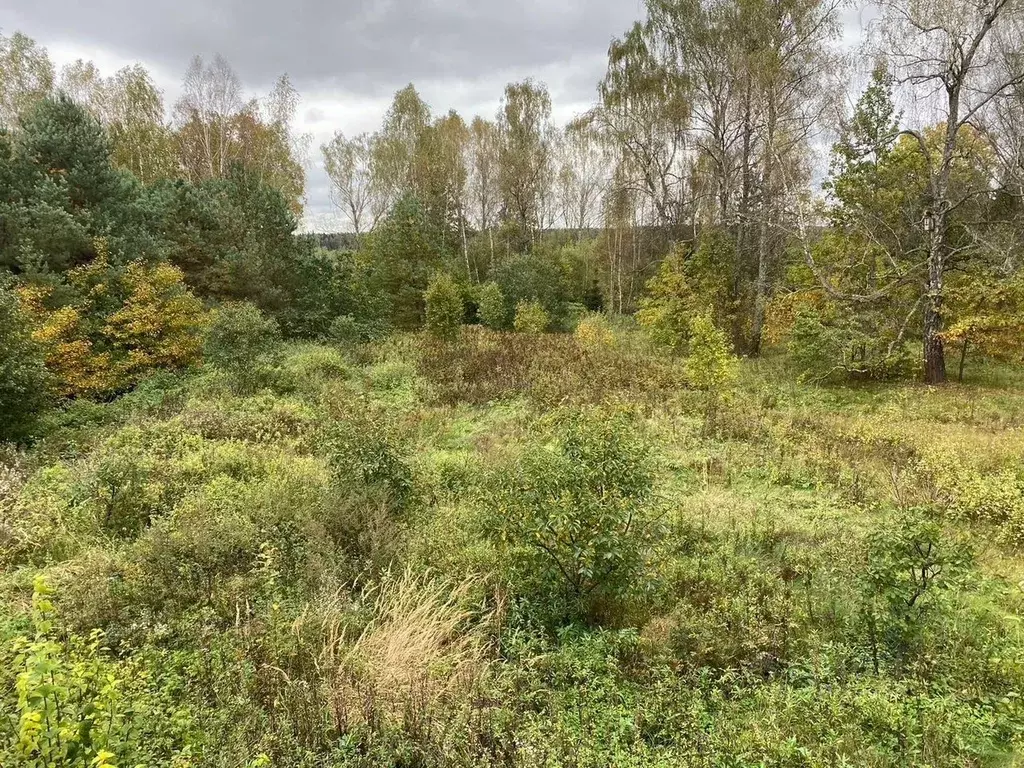 Участок в Москва д. Никоново, 73 (13.0 сот.) - Фото 2