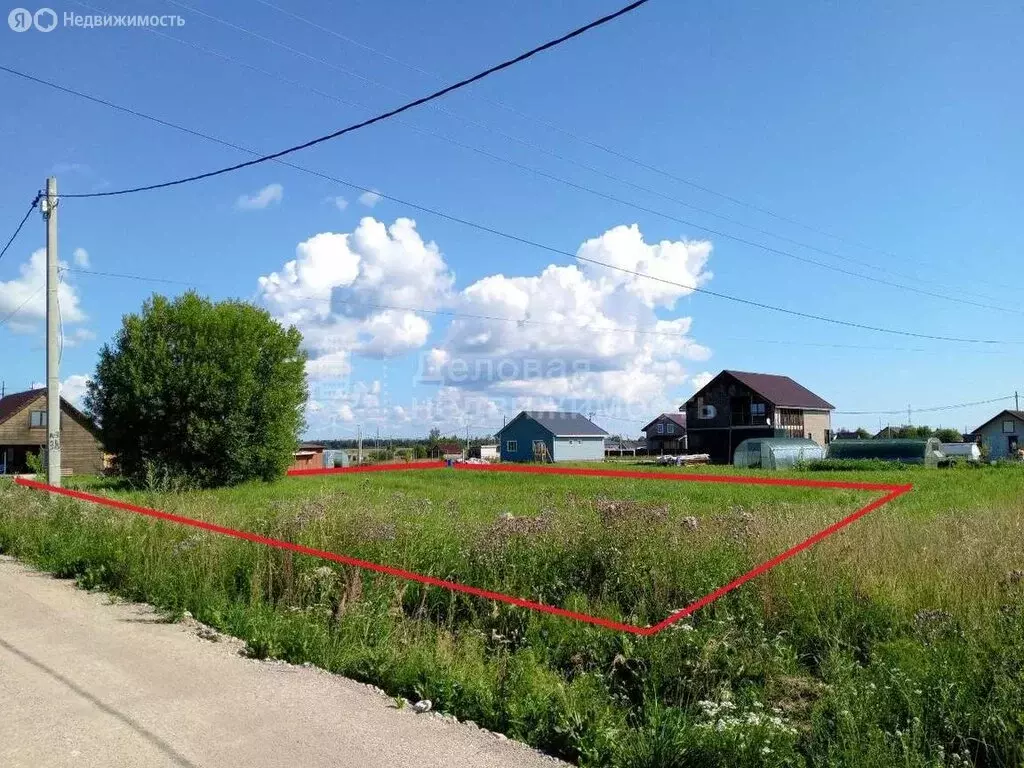 Участок в Новгородская область, Шимское городское поселение, деревня ... - Фото 1