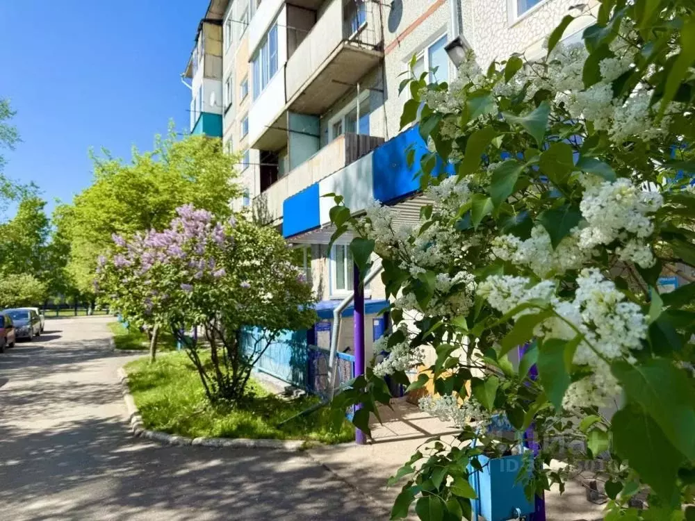 3-к кв. Красноярский край, Минусинск городской округ, Зеленый Бор ... - Фото 0