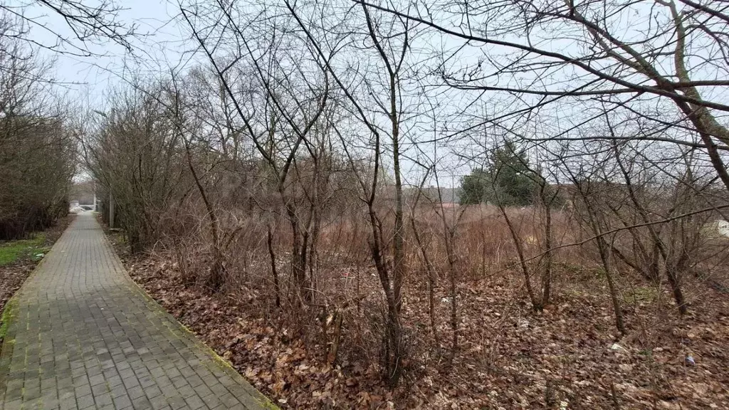 Участок в Калининградская область, Балтийский городской округ, пос. ... - Фото 1