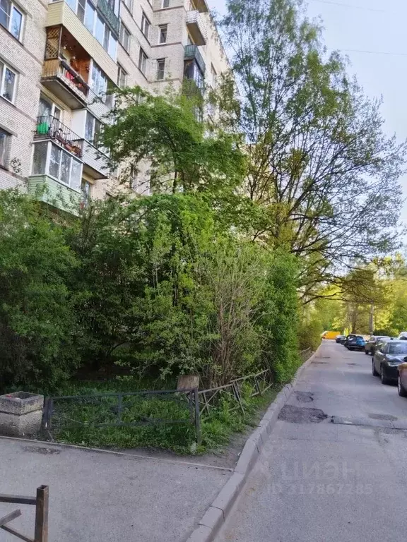 Комната Санкт-Петербург ул. Стойкости, 15 (20.0 м) - Фото 1