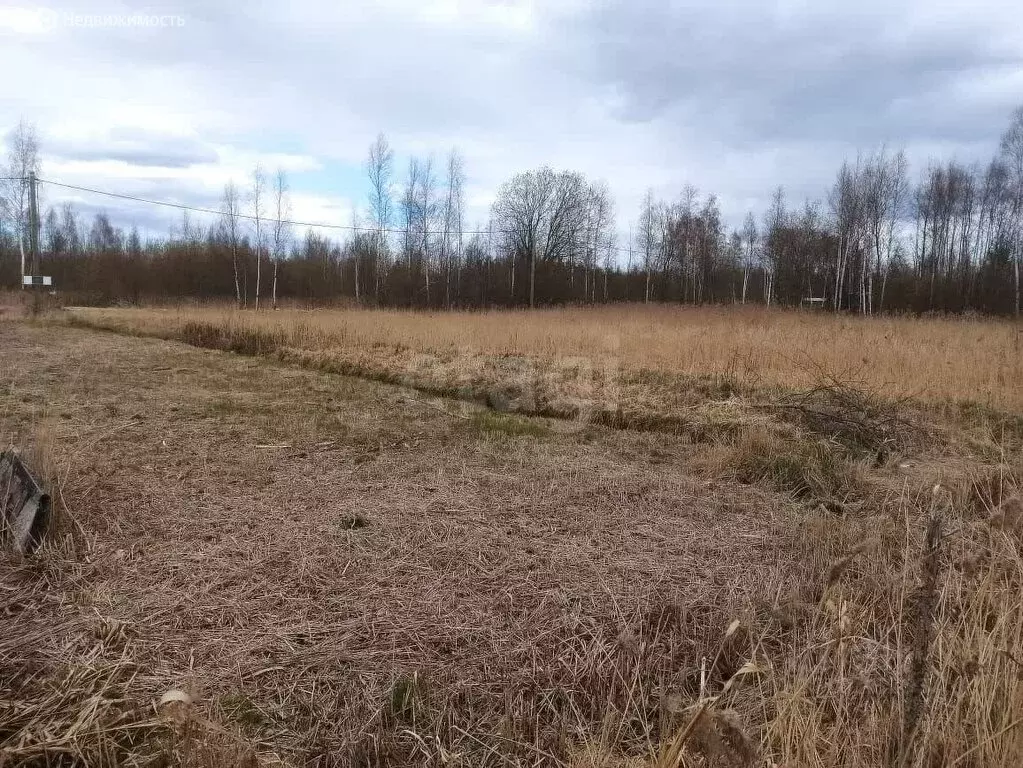 Участок в посёлок Новый Свет, 52-й массив (10 м) - Фото 0