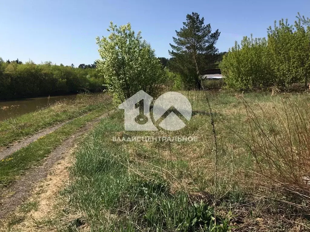 Участок в Новосибирская область, Новосибирский район, Новолуговской ... - Фото 0