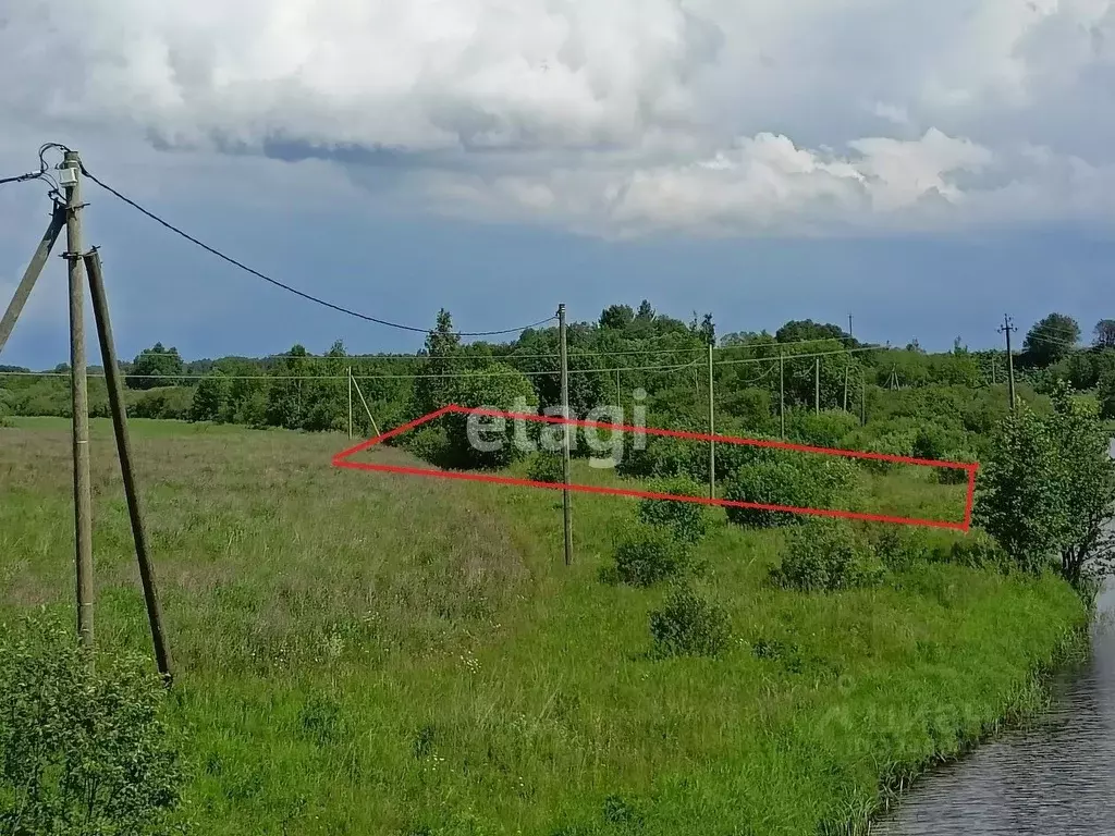 Участок в Ленинградская область, Волховский район, Бережковское с/пос, ... - Фото 1