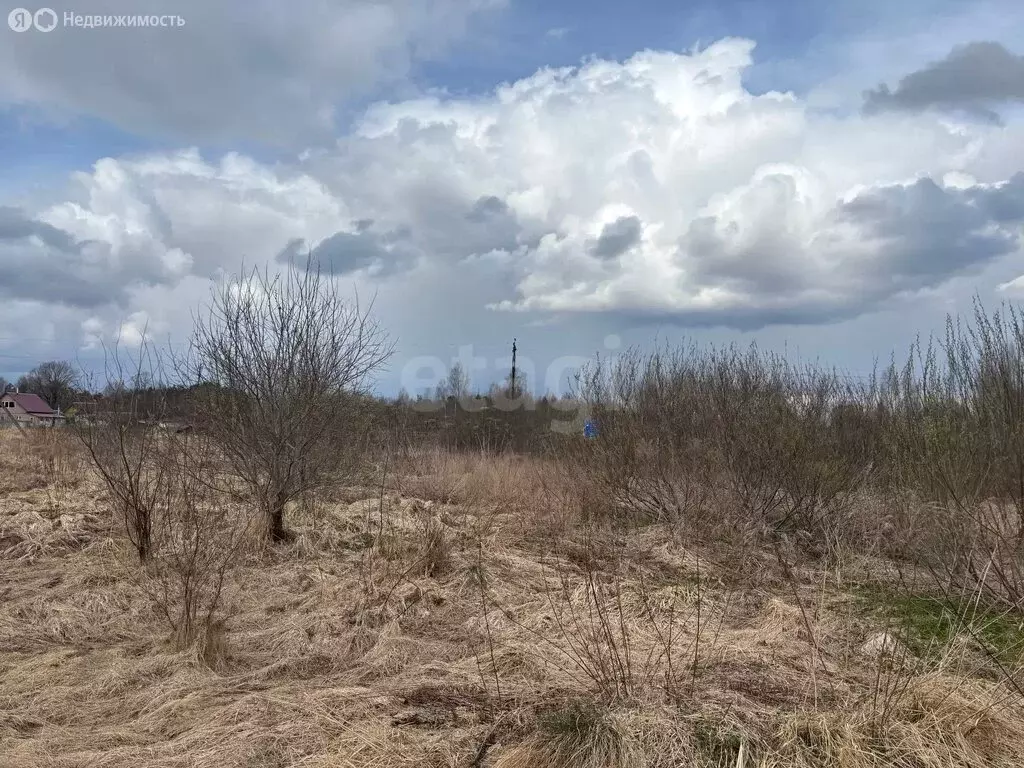 Участок в Псковский район, Торошинская волость, деревня Подборовье-1, ... - Фото 2