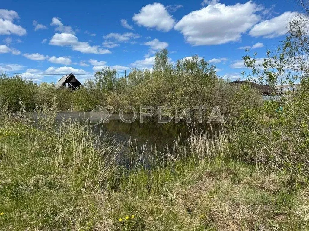 Участок в Тюменская область, Нижнетавдинский район, Березка СНТ  ... - Фото 0