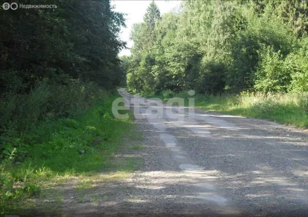 Участок в Чапаевское сельское поселение, деревня Малинки (15 м) - Фото 1