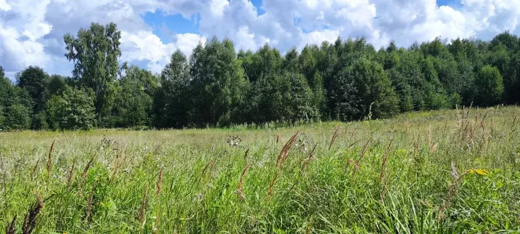 Участок в Московская область, Солнечногорск городской округ, д. Мостки ... - Фото 0