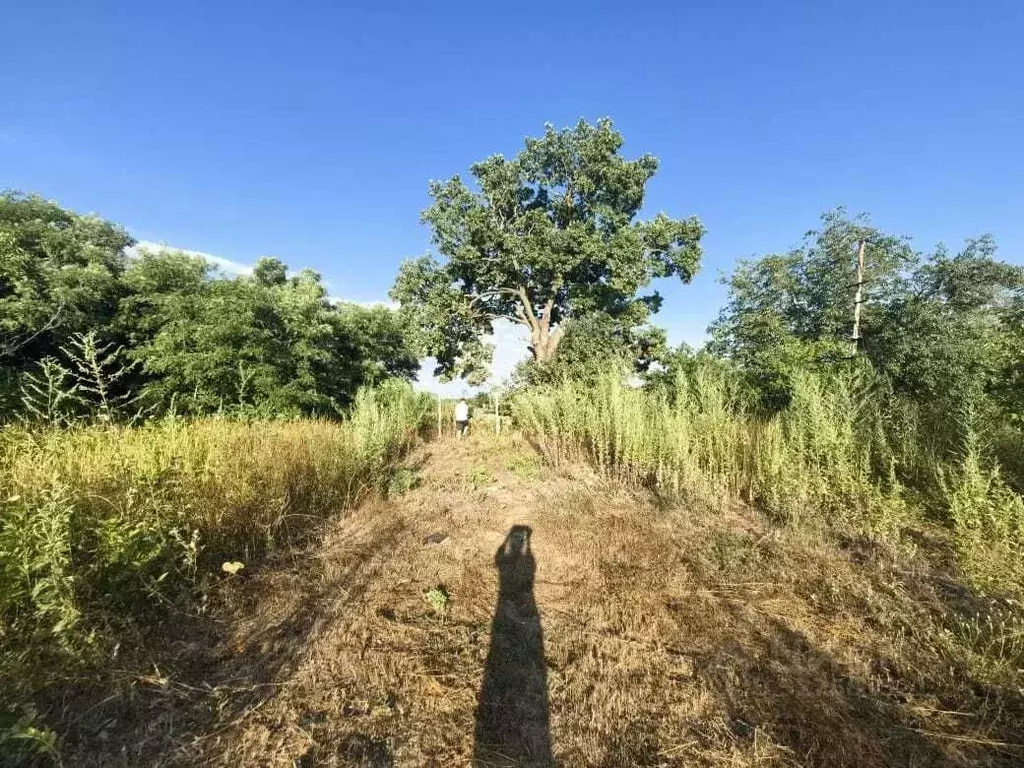 Участок в Краснодарский край, Анапа муниципальный округ, Гостагаевская ... - Фото 2