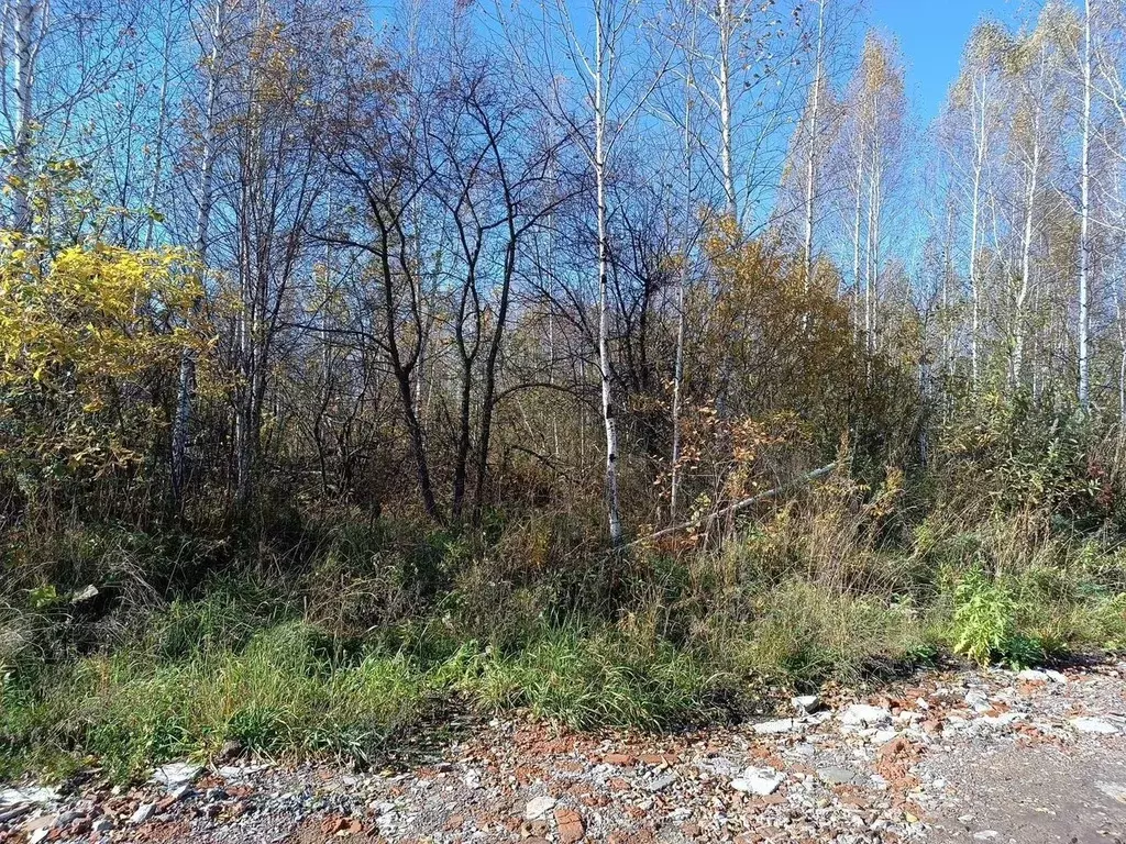 Участок в Новосибирская область, Новосибирский район, Станционный ... - Фото 0