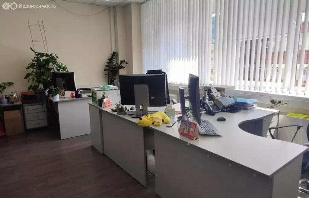 Офис (341.6 м) - Фото 2