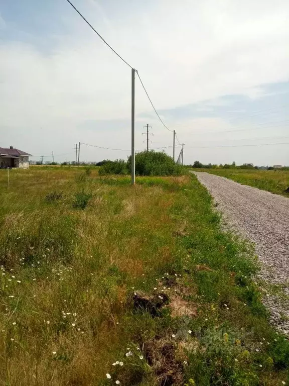 Участок в Воронежская область, Хохольский район, Петинское с/пос, пос. ... - Фото 1