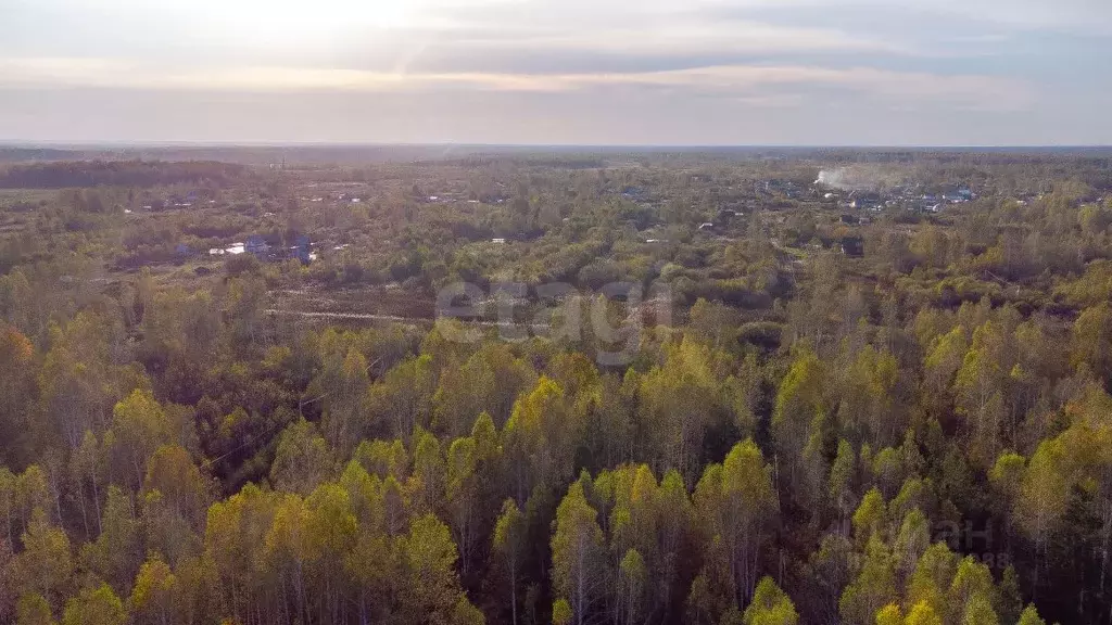 Участок в Тюменская область, Тюмень Светлое садовое товарищество,  ... - Фото 0