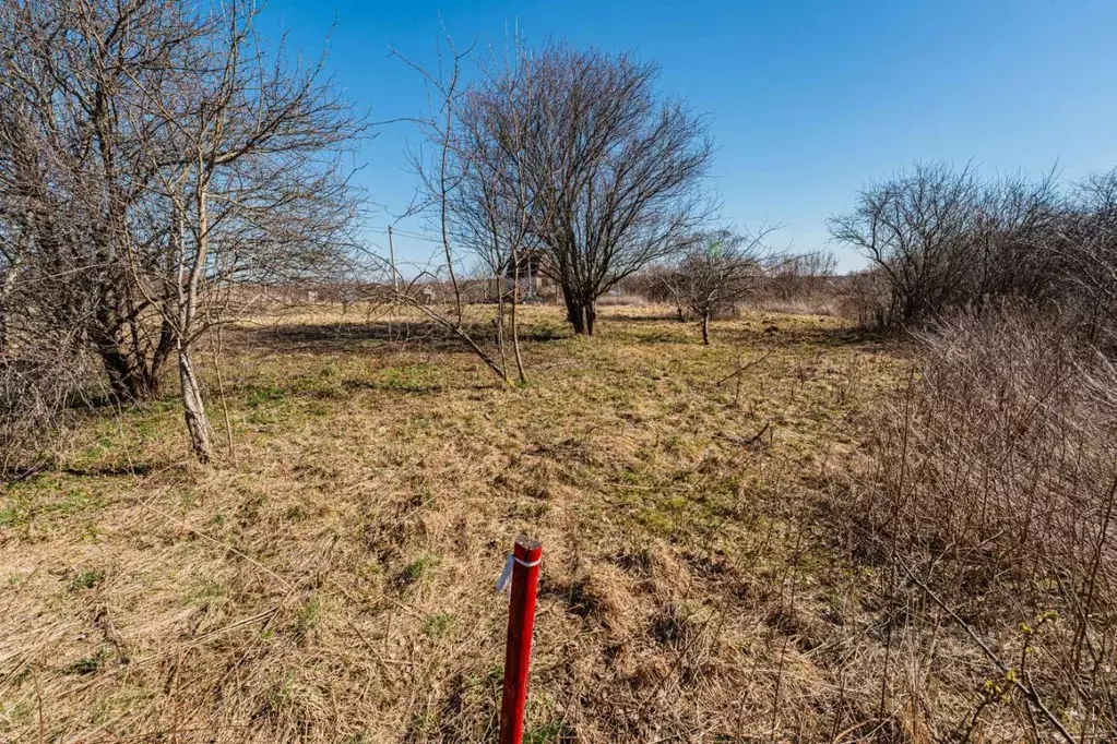 Участок в Калининградская область, Зеленоградский муниципальный округ, ... - Фото 2