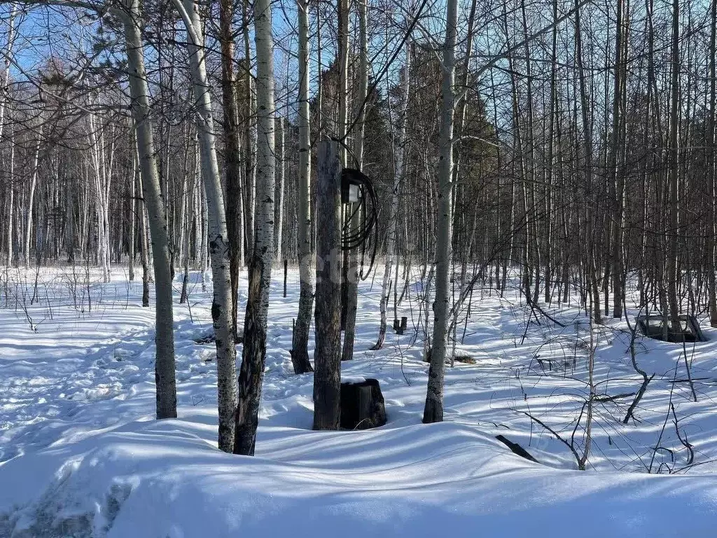 Участок в Иркутская область, Иркутский муниципальный округ, Светлое ... - Фото 1