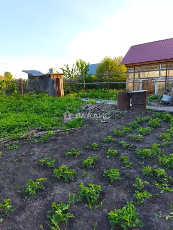Дом в Алтайский край, Бийск Текстильщик-1 СНТ, 141 (28 м) - Фото 1