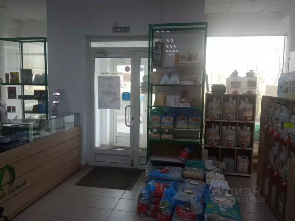 Помещение свободного назначения в Удмуртия, Ижевск Автозаводская ул., ... - Фото 1