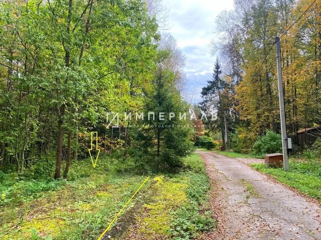 Участок в Калужская область, Жуковский муниципальный округ, Истье ... - Фото 1