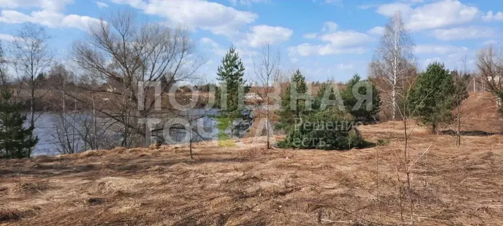 Участок в Новгородская область, Боровичский район, д. Егла Зеленый ... - Фото 2