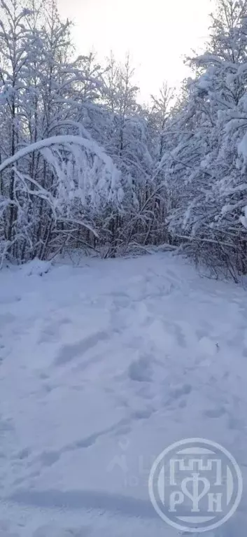 Участок в Ленинградская область, Всеволожский район, Лесколовское ... - Фото 2