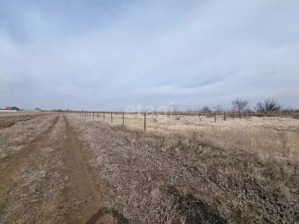 Участок в Волгоградская область, Дубовка ул. Имени Шолохова (5.5 сот.) - Фото 1