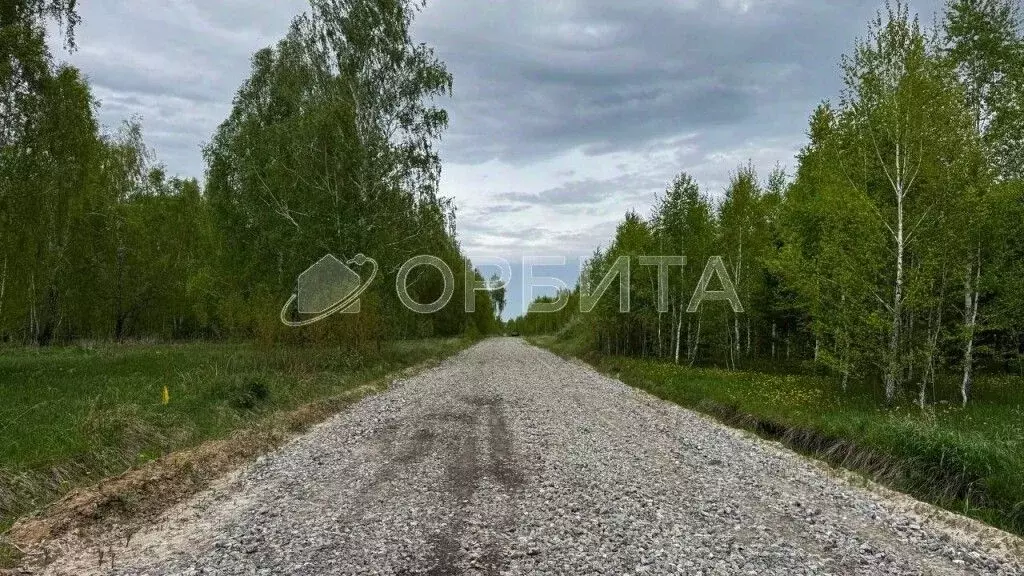 Участок в Тюменская область, Тюменский муниципальный округ, ... - Фото 1