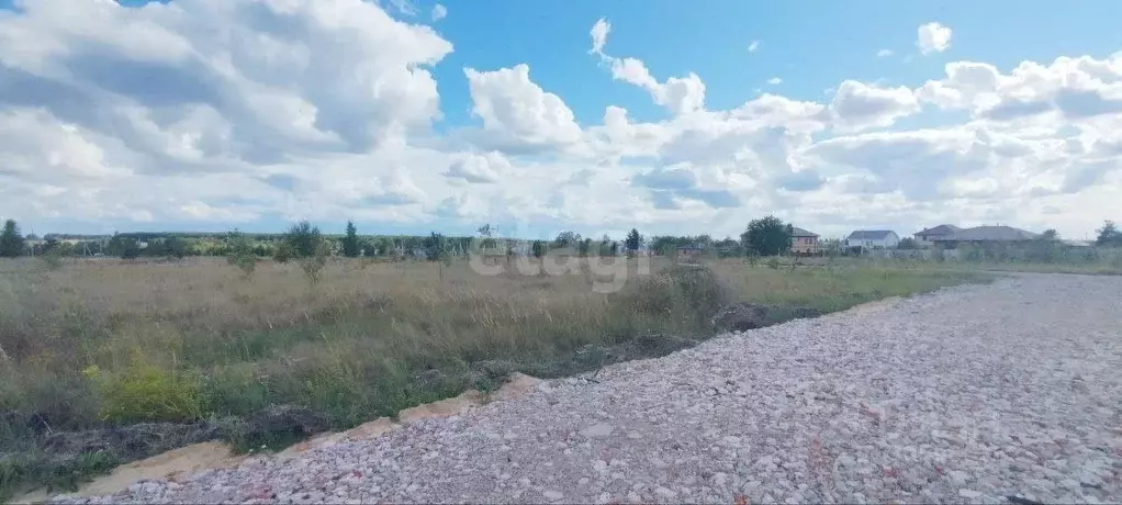 Участок в Воронежская область, Новоусманский район, с. Бабяково ул. ... - Фото 1