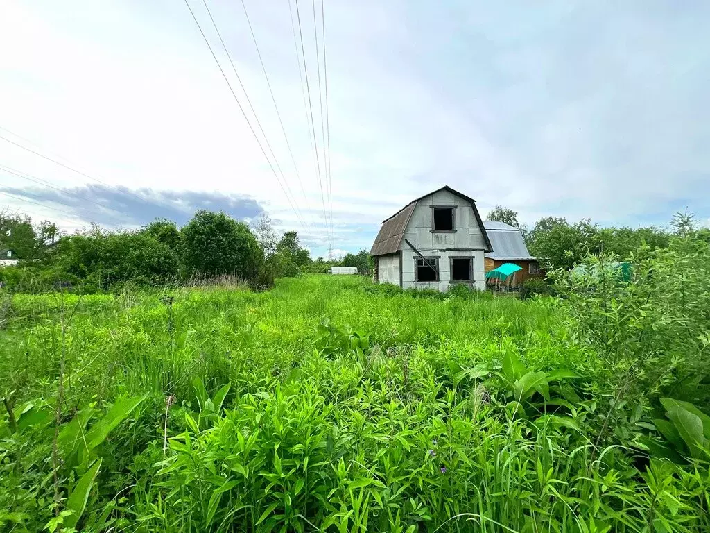 Участок в Егорьевск, садовое товарищество Яблонька, 34 (6.5 м) - Фото 1