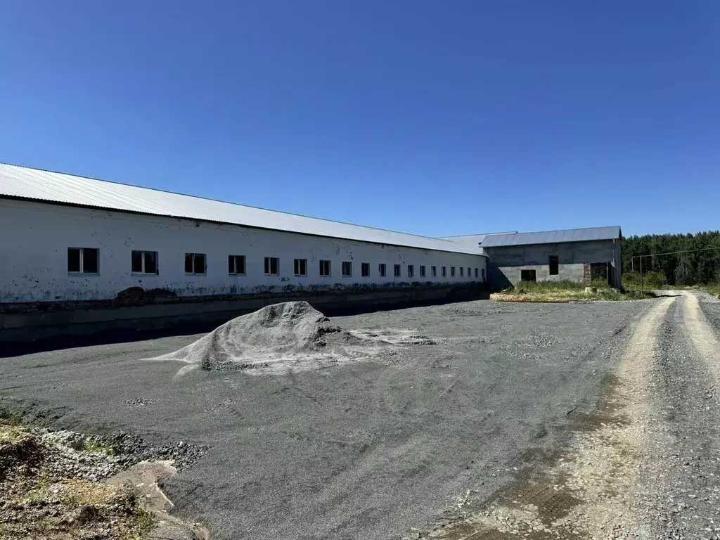 Производственное помещение в Свердловская область, Полевской ... - Фото 1