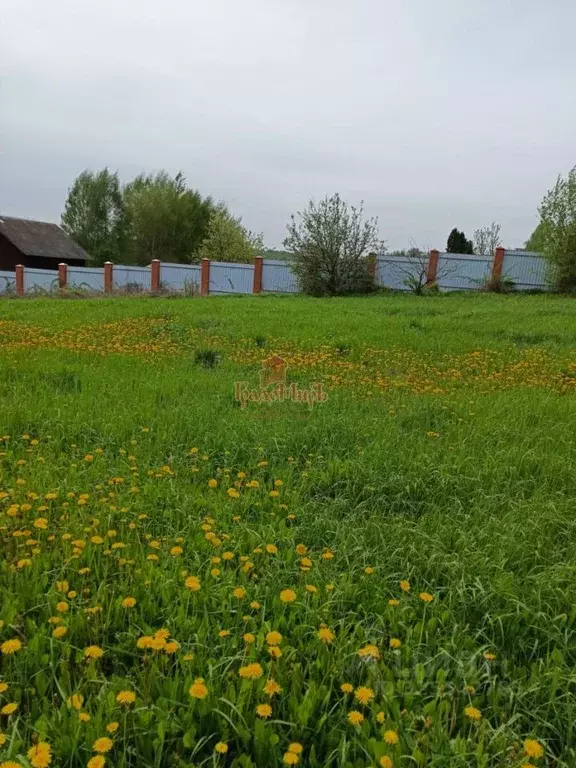 Участок в Московская область, Дмитровский муниципальный округ, д. ... - Фото 1