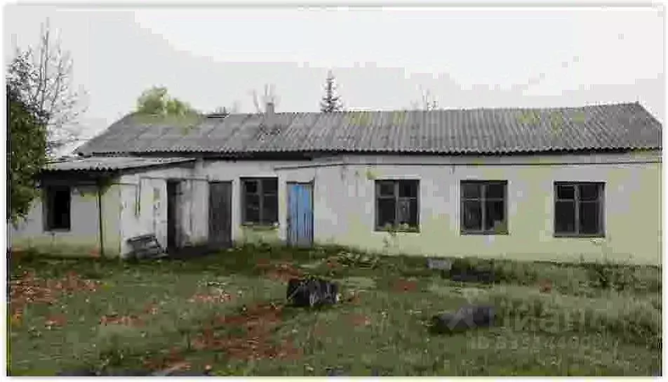 Помещение свободного назначения в Воронежская область, Каменка пгт ул. ... - Фото 2